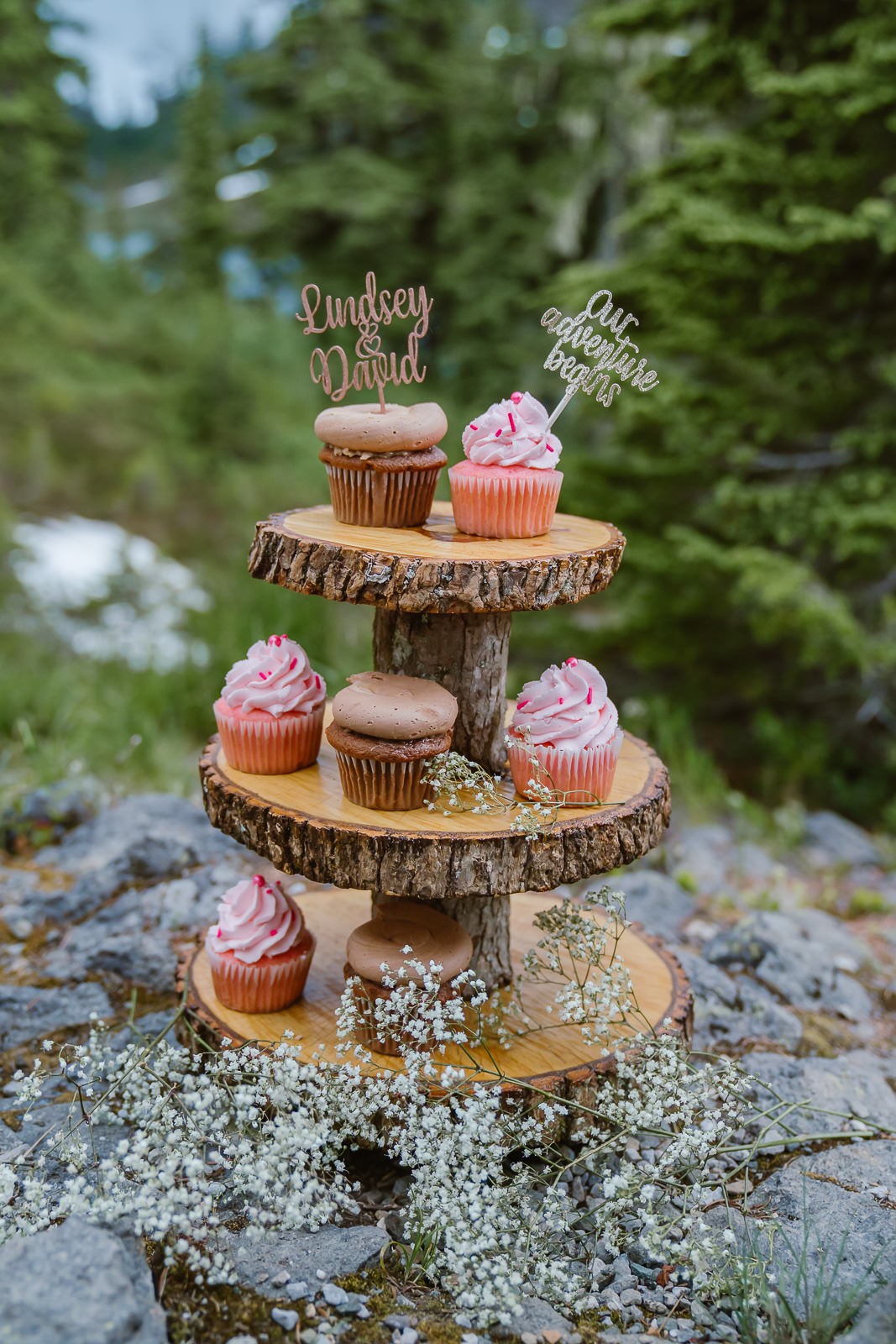 Wedding cupcakes in the forest