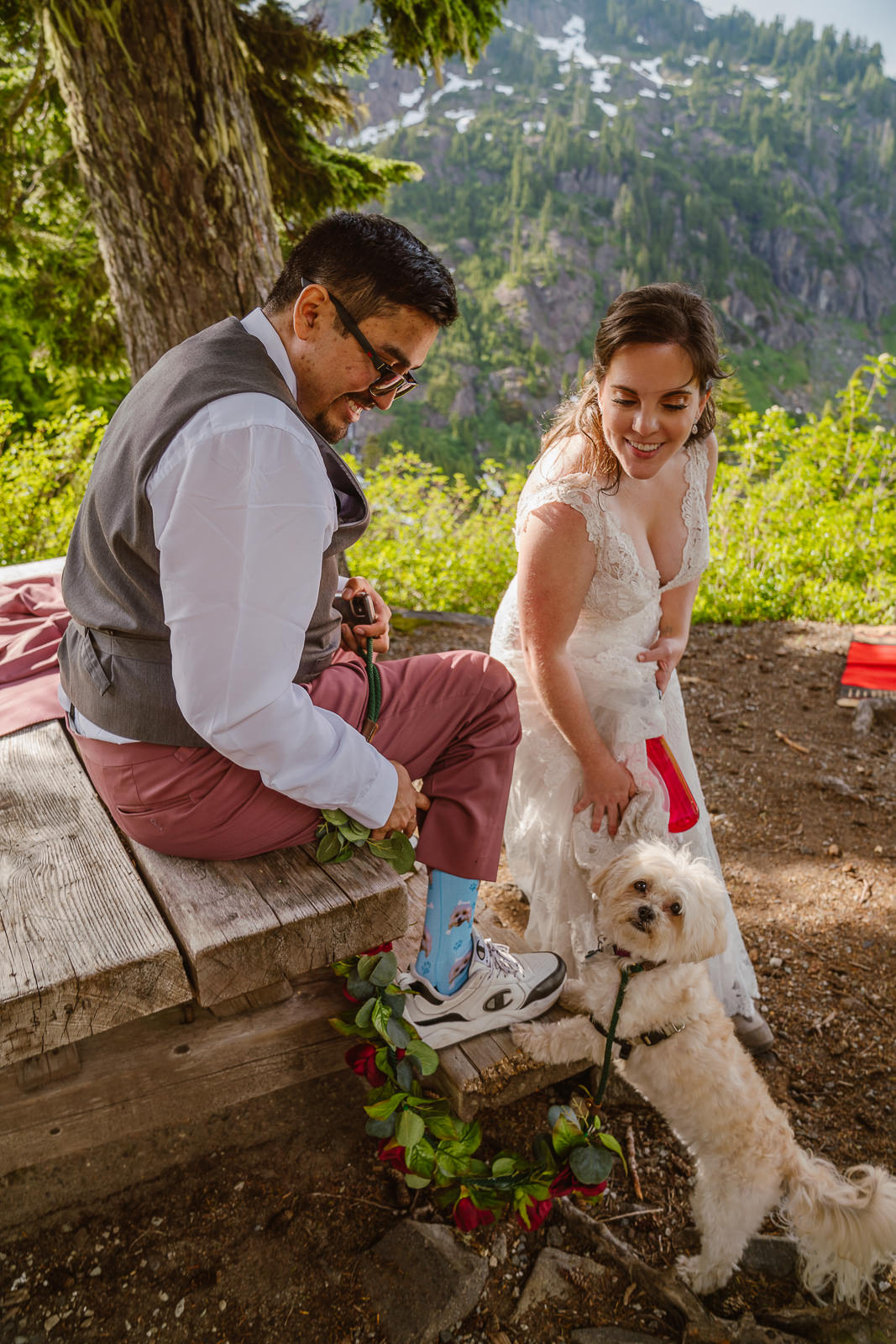 Groom wears socks with picture of dog