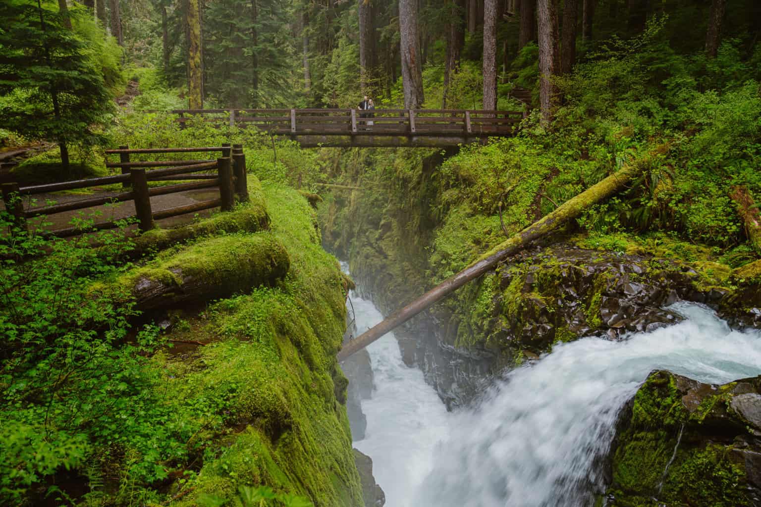 Couple stands on bridge over Sol Duc Falls at their elopement in Olympic National Park with Outshined Photogrraphy