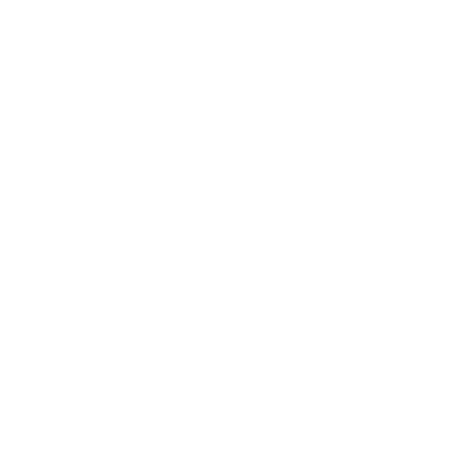Outshined Photography Logo