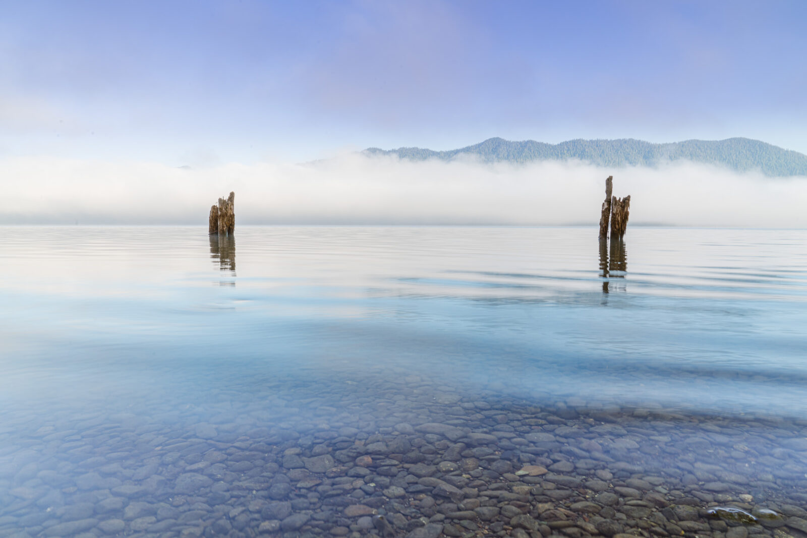 Lake Quinault at sunrise in Olympic National Park