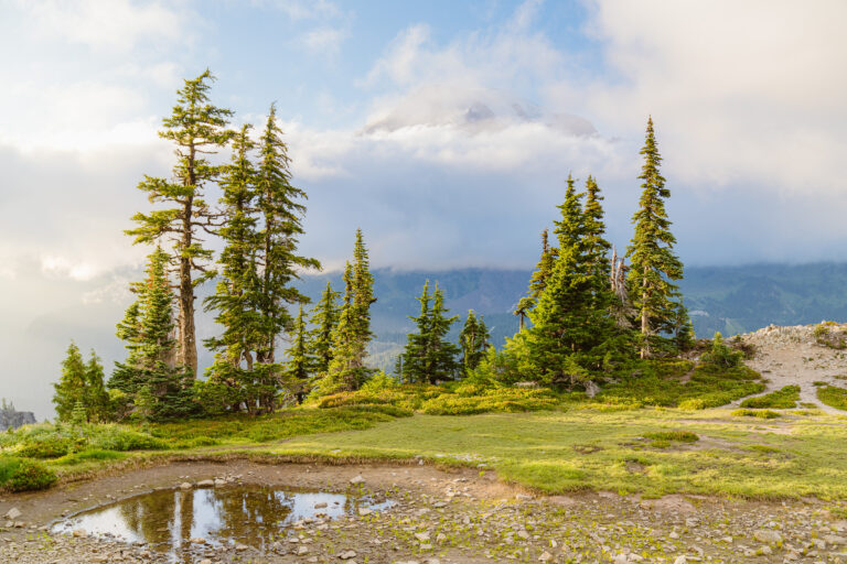 Creating Your Mount Rainier Elopement Story