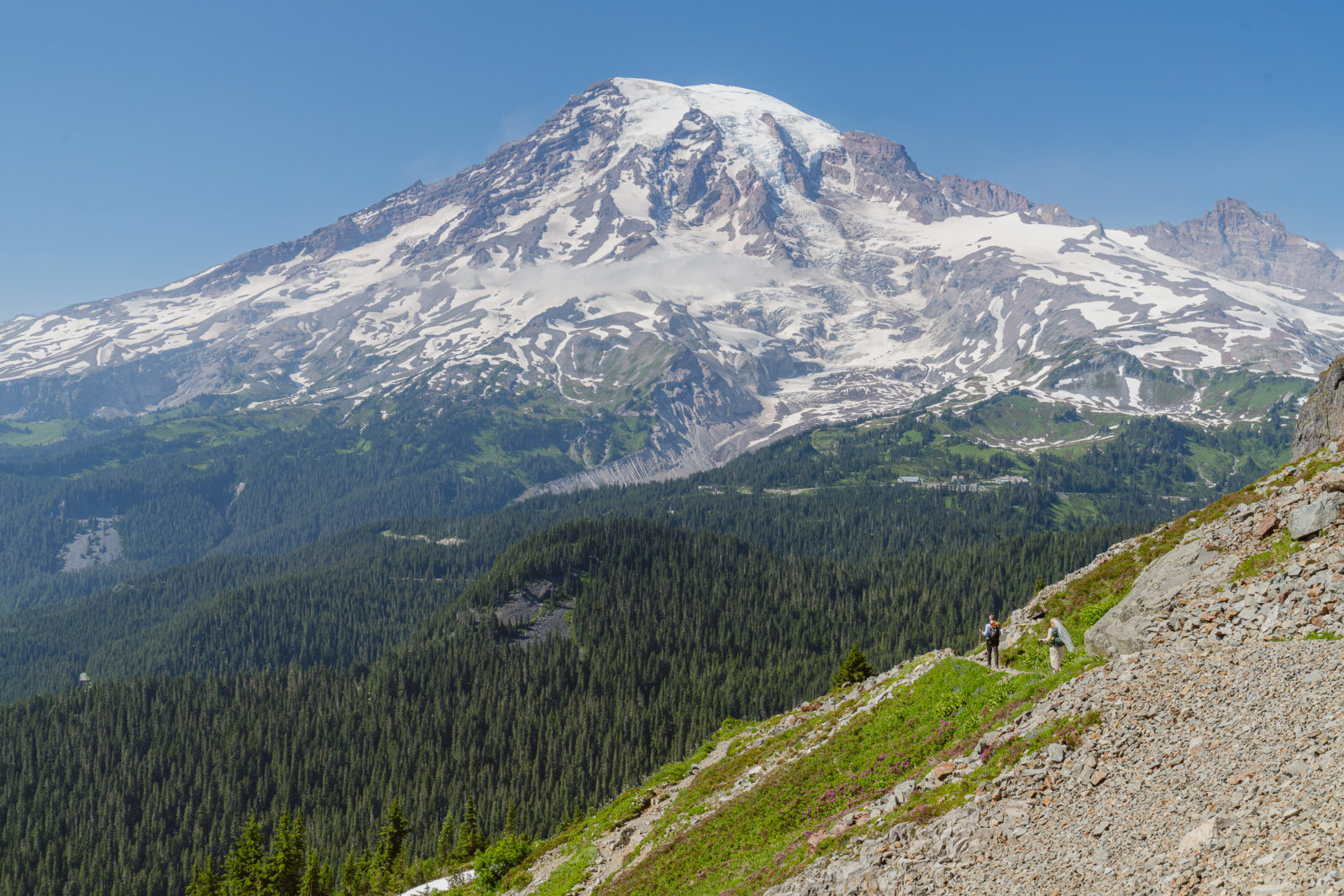 Couple hikes trail to Pinnacle Peak to get married in Mount Rainier National Park
