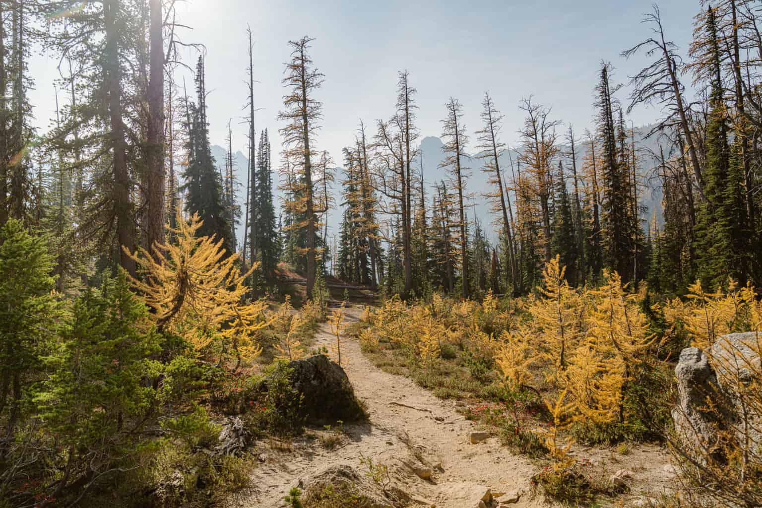 Cutthroat Lake Trail in North Cascades National Park