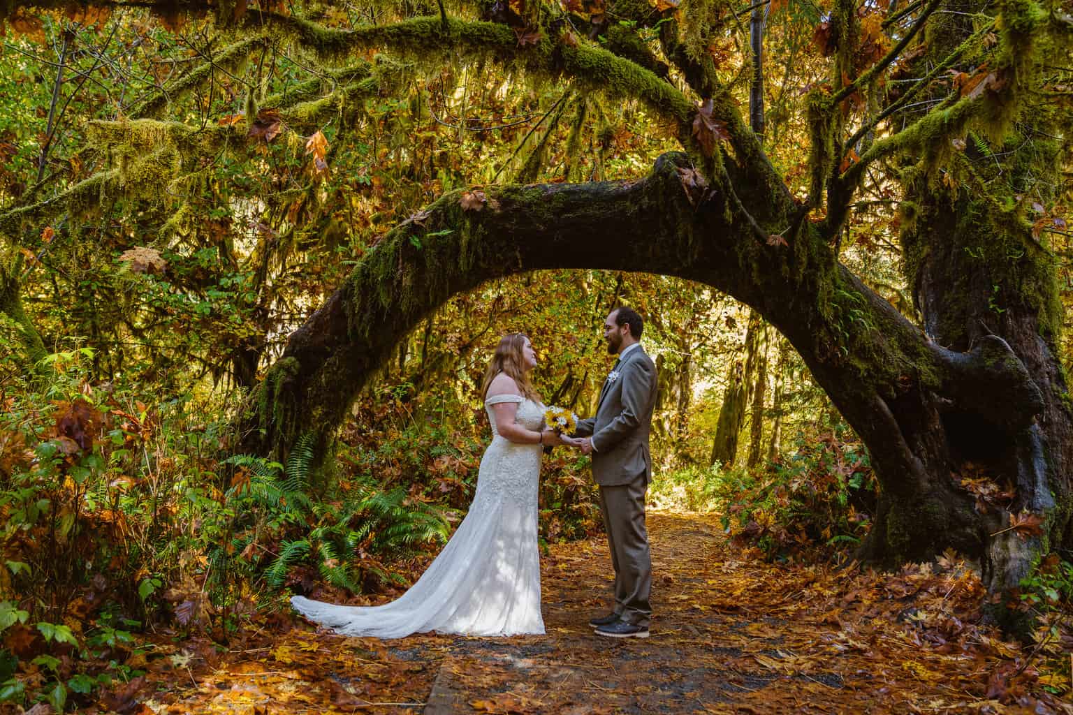 Elope in Hoh Rainforest in Olympic National Park with Outshined Photography
