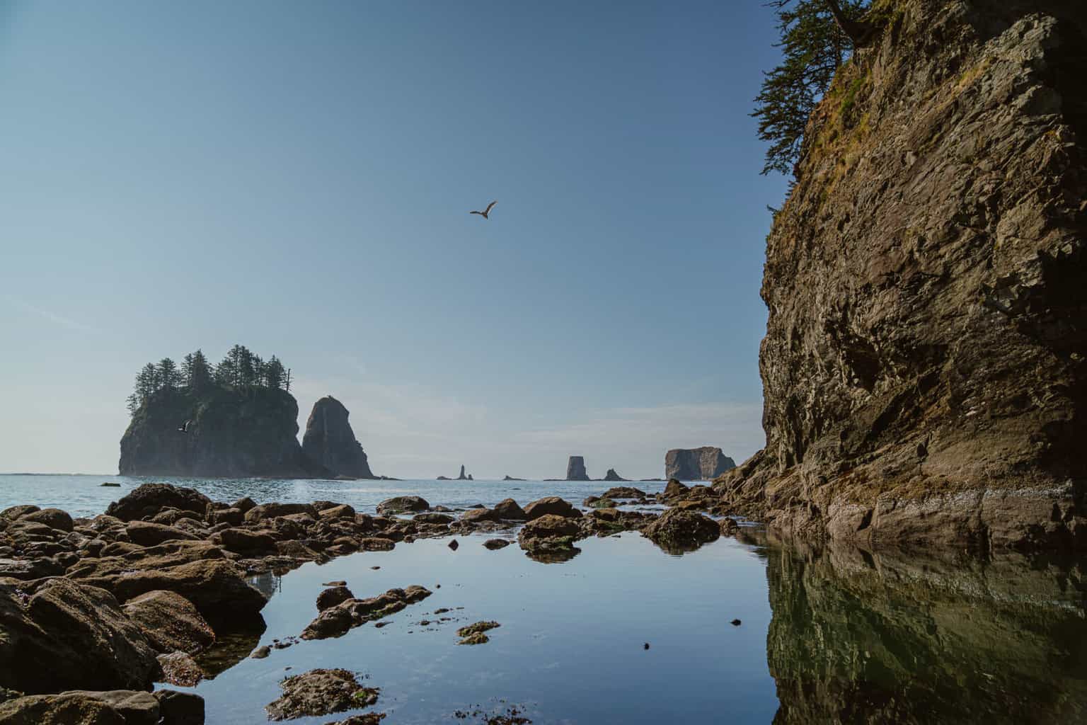 Second Beach in Olympic National Park