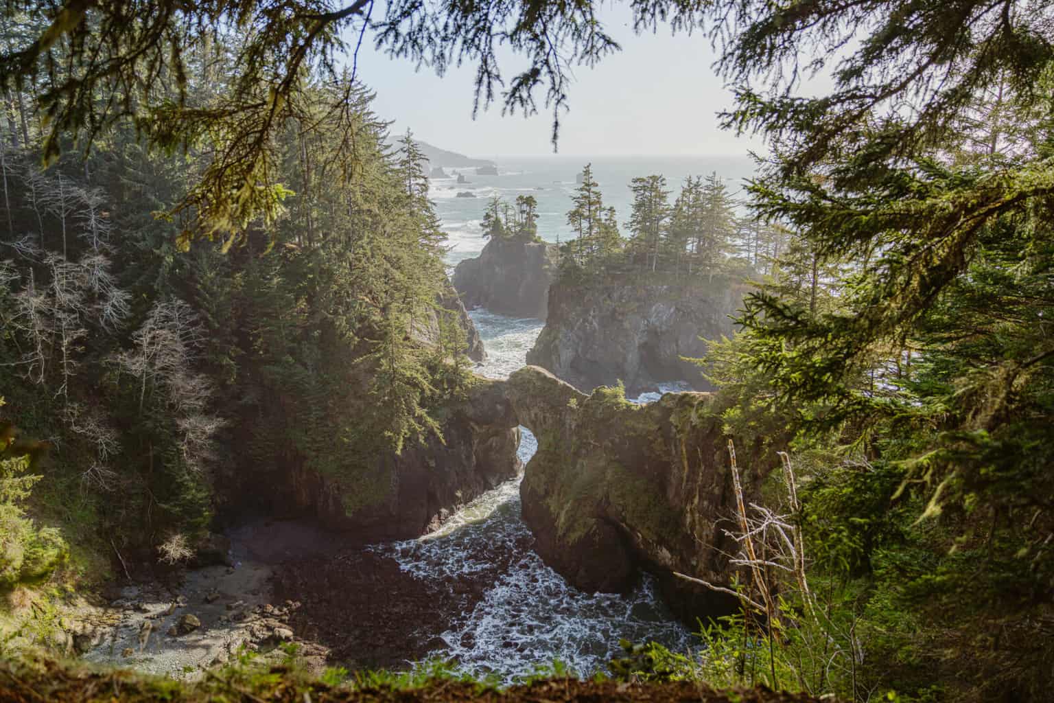 Southern Coast of Oregon is the most beautiful place to elope