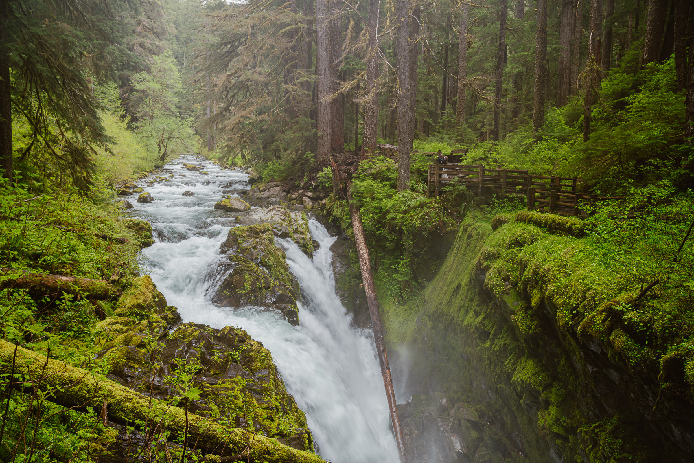 Ultimate Pacific Northwest elopement at Sol Duc Falls in Olympic National Park