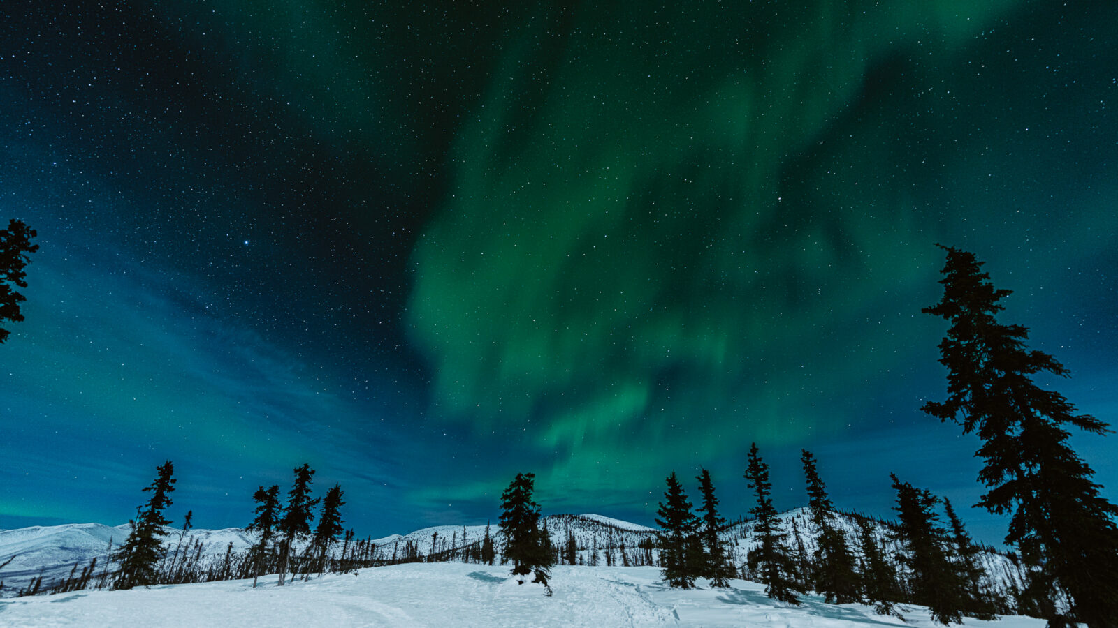 Elope in Alaska under the Northern Lights