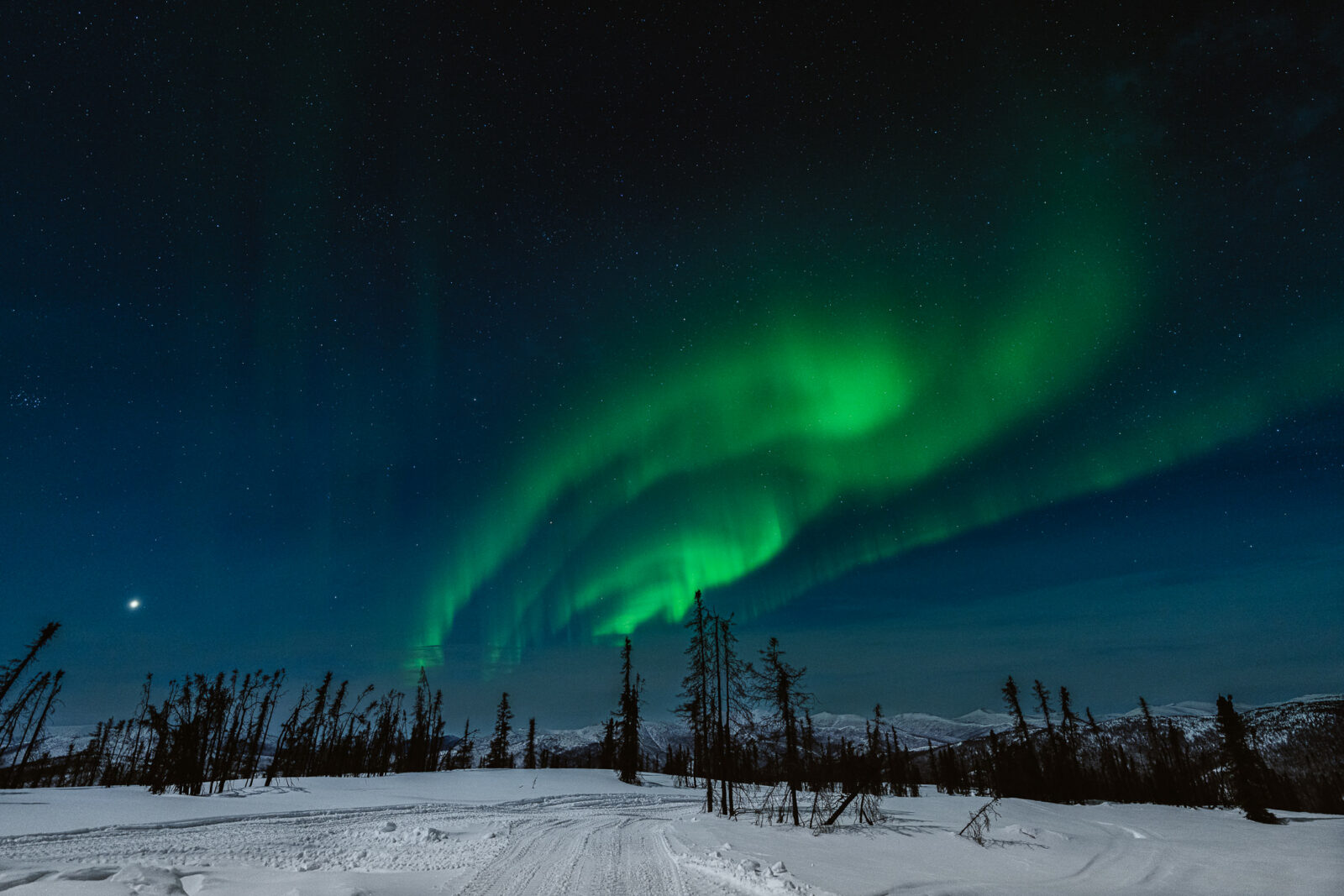 View the northern lights in alaska on your elopement