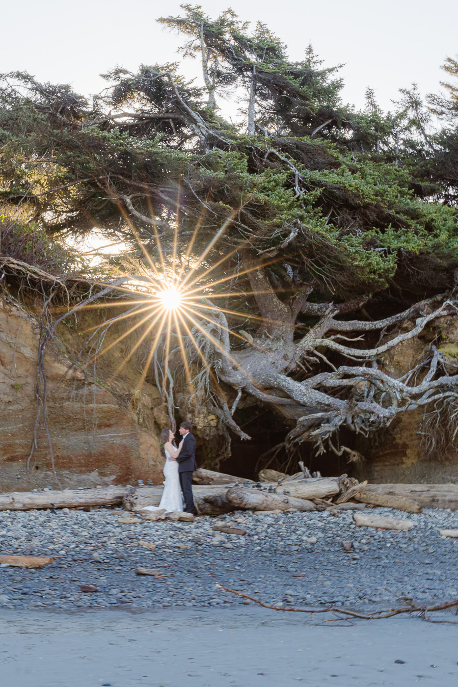 Elope with Outshined Photography at the Tree of Life in Olympic National Park
