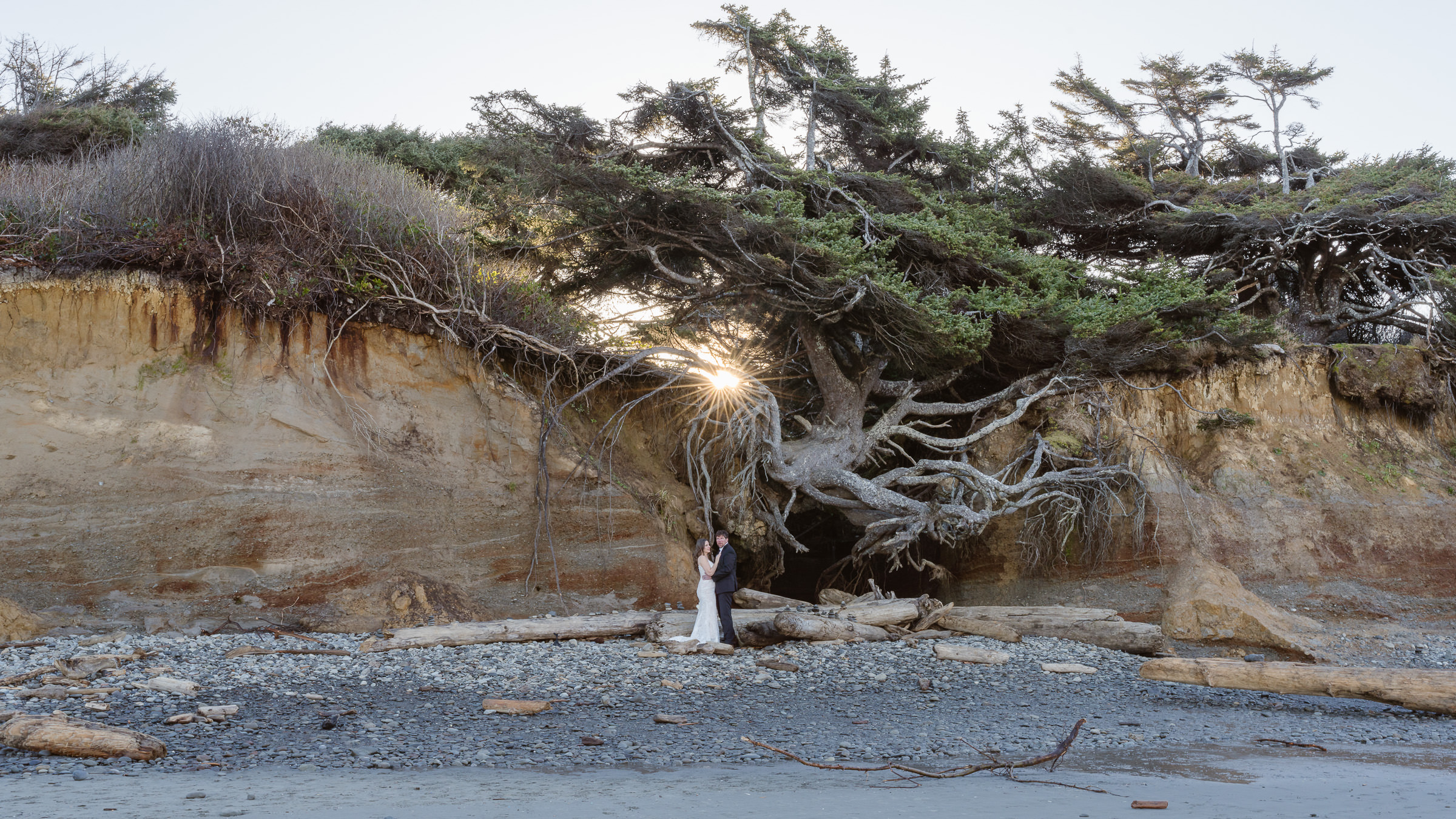Elopement at Tree of Life on Kalaloch Beach in Olympic National Park